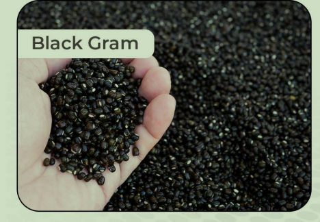 Natural Black Gram, For Cooking, Certification : FSSAI