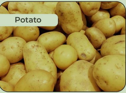 Common Fresh Potato, For Cooking, Home, Restaurant, Snacks, Feature : Early Maturing, Floury Texture