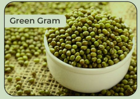 Natural Green Gram, For Cooking, Certification : FSSAI