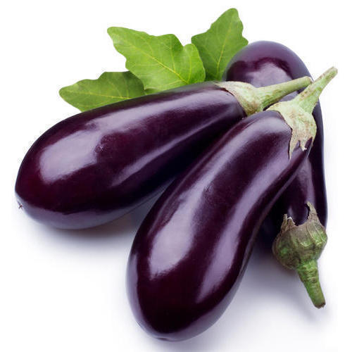 Organic Fresh Brinjal, For Good Nutritions, Good Health, Packaging Type : Plastic Packet