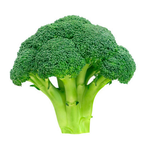Fresh Broccoli, Packaging Size : 10kg, 20kg