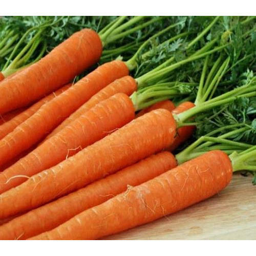 Organic Fresh Carrot, Taste : Crispiness