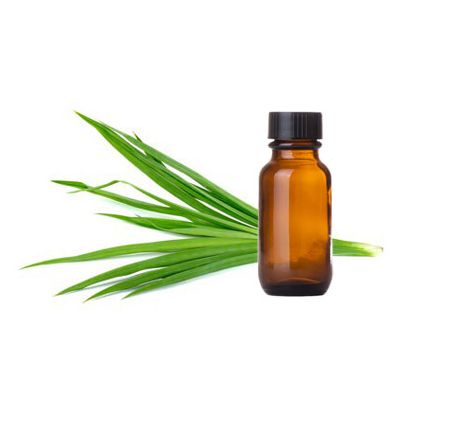 Ginger Grass Oil, Packaging Type : Glass Bottles