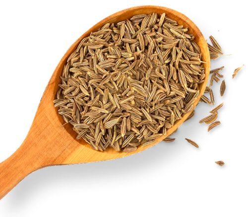 Cumin Seeds, For Cooking, Specialities : Long Shelf Life