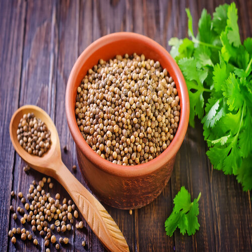 Common Coriander, For Cooking, Style : Dried