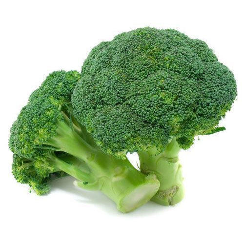 Fresh Broccoli, Packaging Size : 5-10 Kg