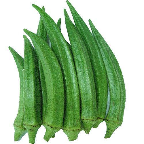 Organic Fresh Lady Finger, Packaging Size : 5-10 Kg