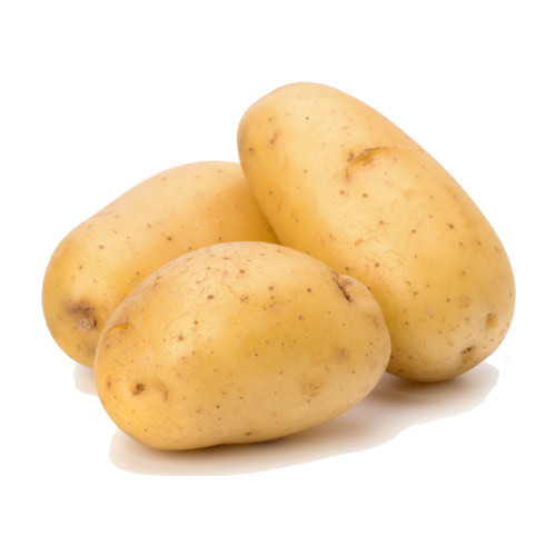 Fresh Potato, Packaging Size : 5-10 Kg