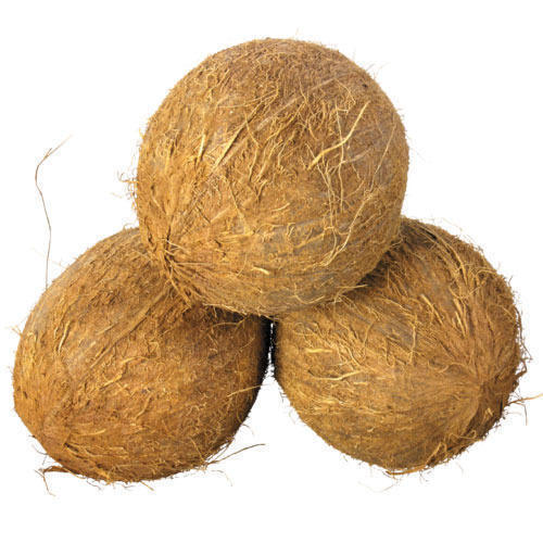 Sun Dry Organic Fully Husked Coconut, Color : Brown