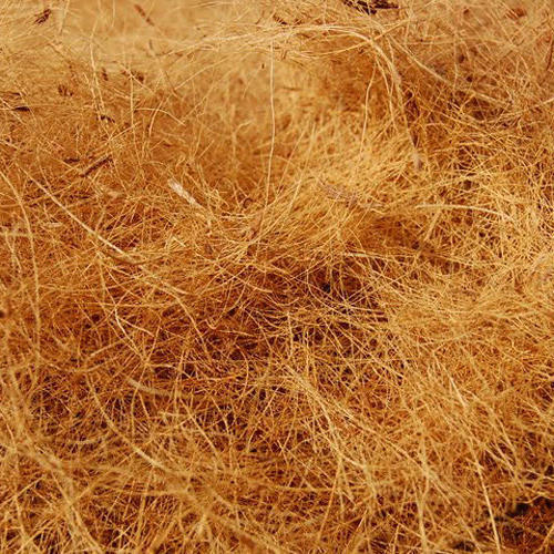 Coconut Coir Fiber, For Dusting Wiper, Mats, Ropes, Pattern : Raw