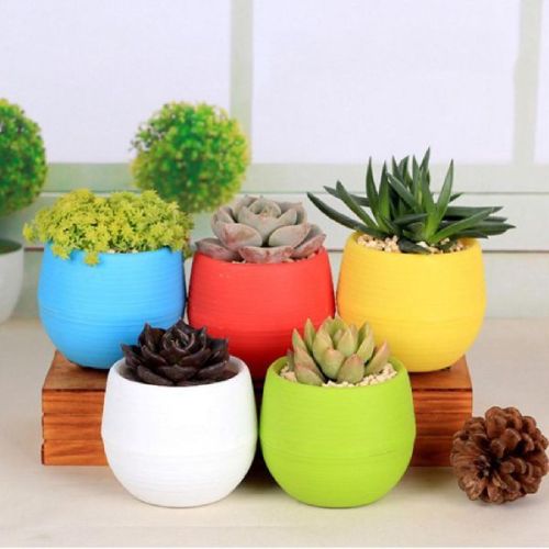 Plain Flower Pots, Style : Modern