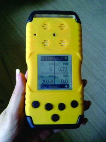 Ammonia Gas Detector RH-1200 Series