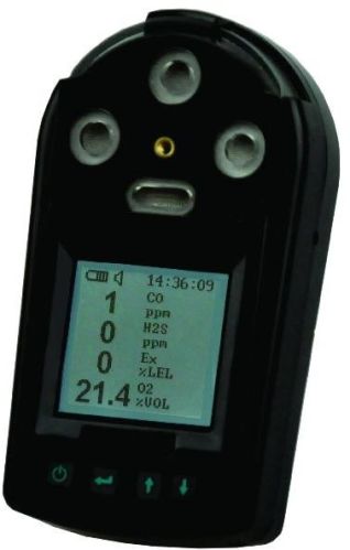 Portable Gas Detector RH-1600