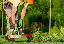 Gardening Services