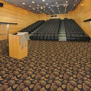 Auditorium Carpets, For Hall, Packaging Type : Roll