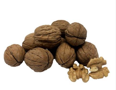 SUKH Organic Walnuts, Packaging Type : Vacuum Bag