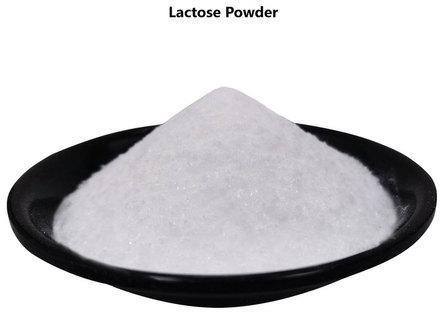 Lactose Powder, Packaging Type : Bag