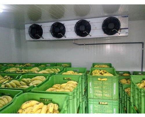Unicool Technologies Banana Ripening Chamber, Capacity : 2 To 3 Tons