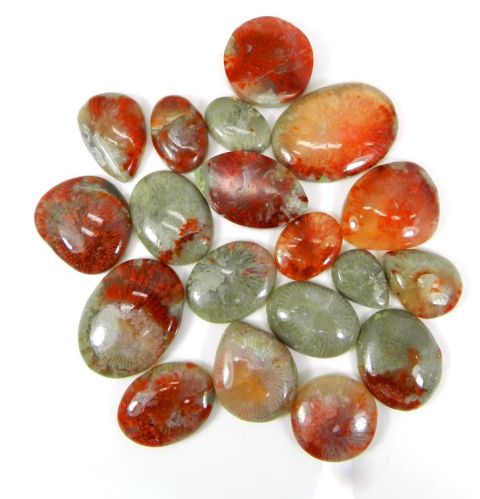 Utah Coral Semi Precious Stone, Size : Free Form