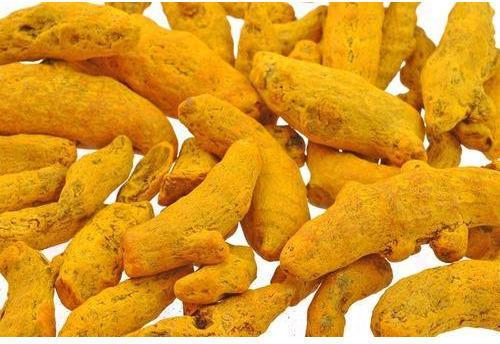 Organic Turmeric Finger, For Food Medicine, Specialities : Good Quality