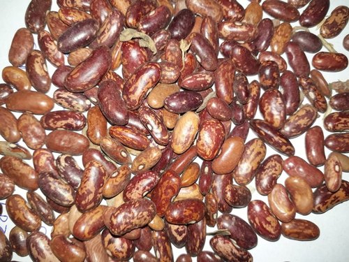 Kismiri Kidney Beans, Packaging Size : 50KG 