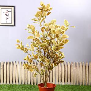 Plastic Wild Coffee Artificial Plant