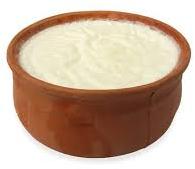 A2 Milk Curd