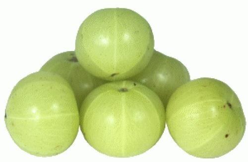 Organic Fresh Amla, Shelf Life : 7-10days