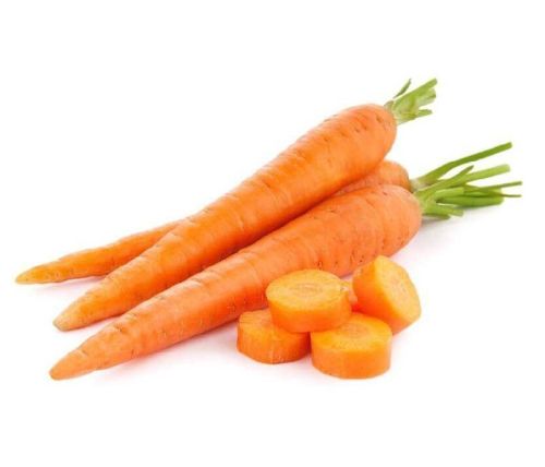 Organic Fresh Carrot, For Juice, Pickle, Cooking, Packaging Type : Jute Sack, PP Bags