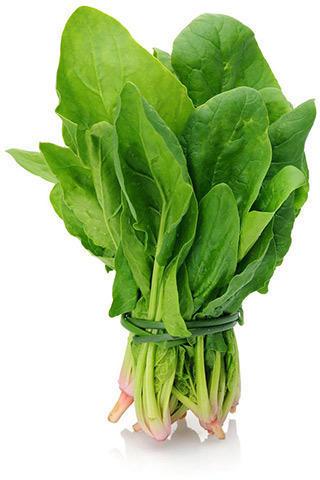 Organic Fresh Spinach Leaves, For Good Nutritions, Good Health, Hygienically Packed