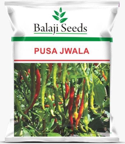 BS Tejasri Red Chilli Seeds, Packaging Type : Plastic Packet