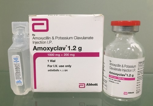 Amoxicillin and Potassium Clavulanic Acid Injection