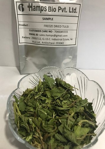 Freeze Dried Tulsi, Packaging Type : Bag