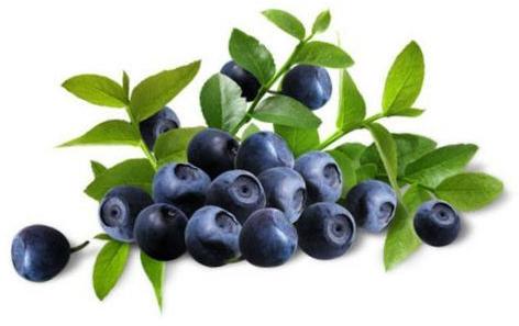 HERBAVEDA Bilberry Extract