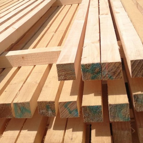 Pine Wood Timber, Color : YELLOWISH