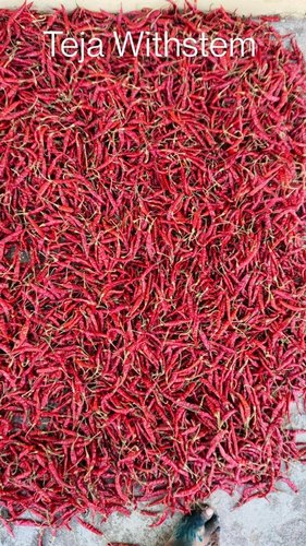 Red Hot Chilli, Packaging Size : 1000 Kg