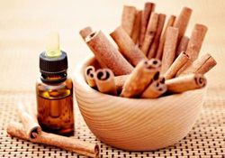 SHANTI Cinnamon Oil