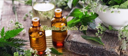 Mentha Citrata Oil