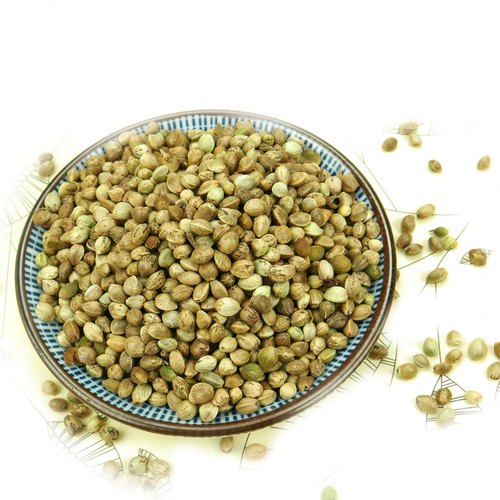 Natural Hemp Seeds, Packaging Type : Plastic Bag, PP Bags