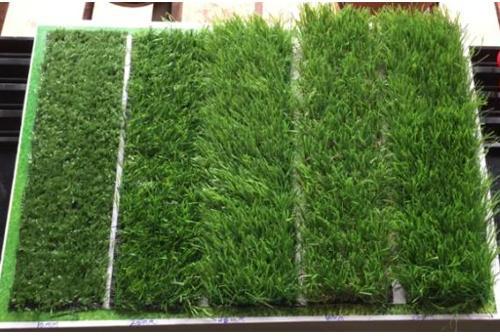 Synthetic Artificial Grass