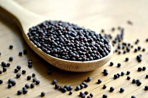 Organic Black Mustard Seeds, For Food Medicine, Packaging Size : 200gm, 250gm, 500gm