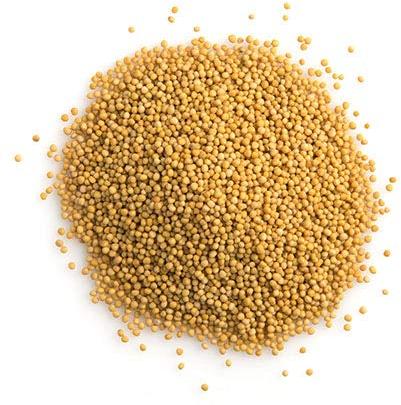 Yellow Mustard Seeds, Packaging Type : Plastic Packet