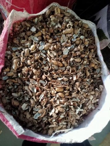 Shell Groundnut/ Peanut, For Boilers, Feature : Non Harmful, Protein Source