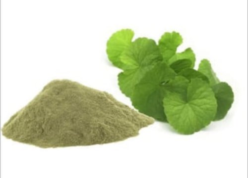 Brahmi Extract Powder