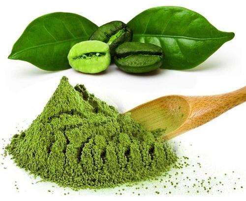 Green Coffee Bean Extract Powder