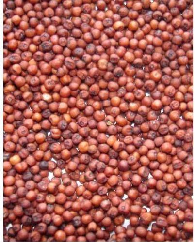 Natural Finger Millet Seeds, For Cattle Feed, Cooking, Packaging Size : 25kg, 50kg