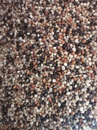 AARA Mixed Millet PET Feed, Packaging Type : Paper Boxes, Plastic Bags, Plastic Pouches