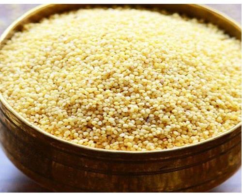 Natural Thinai Millet Seeds, For Cattle Feed, Cooking, Packaging Size : 25kg, 50kg