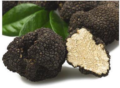 Black Truffle, For Restaurant, Household, Packaging Type : Plastic Bag