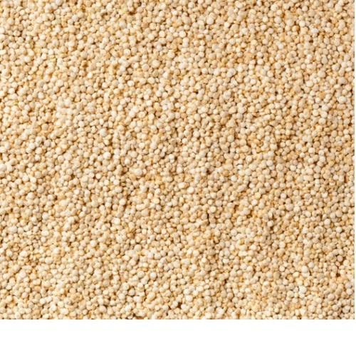 Amaranth Seeds, Seed Type : Natural